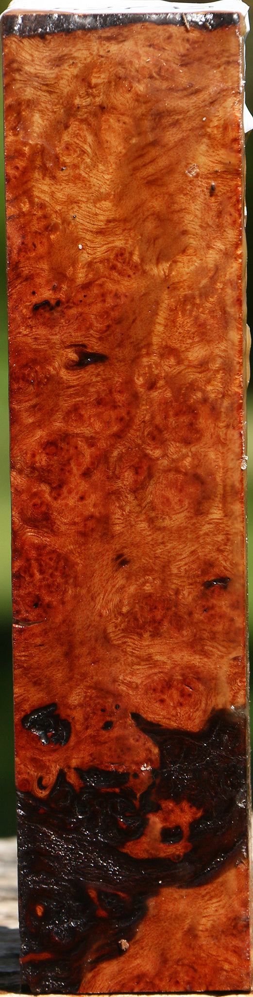 Camphor Burl Lumber