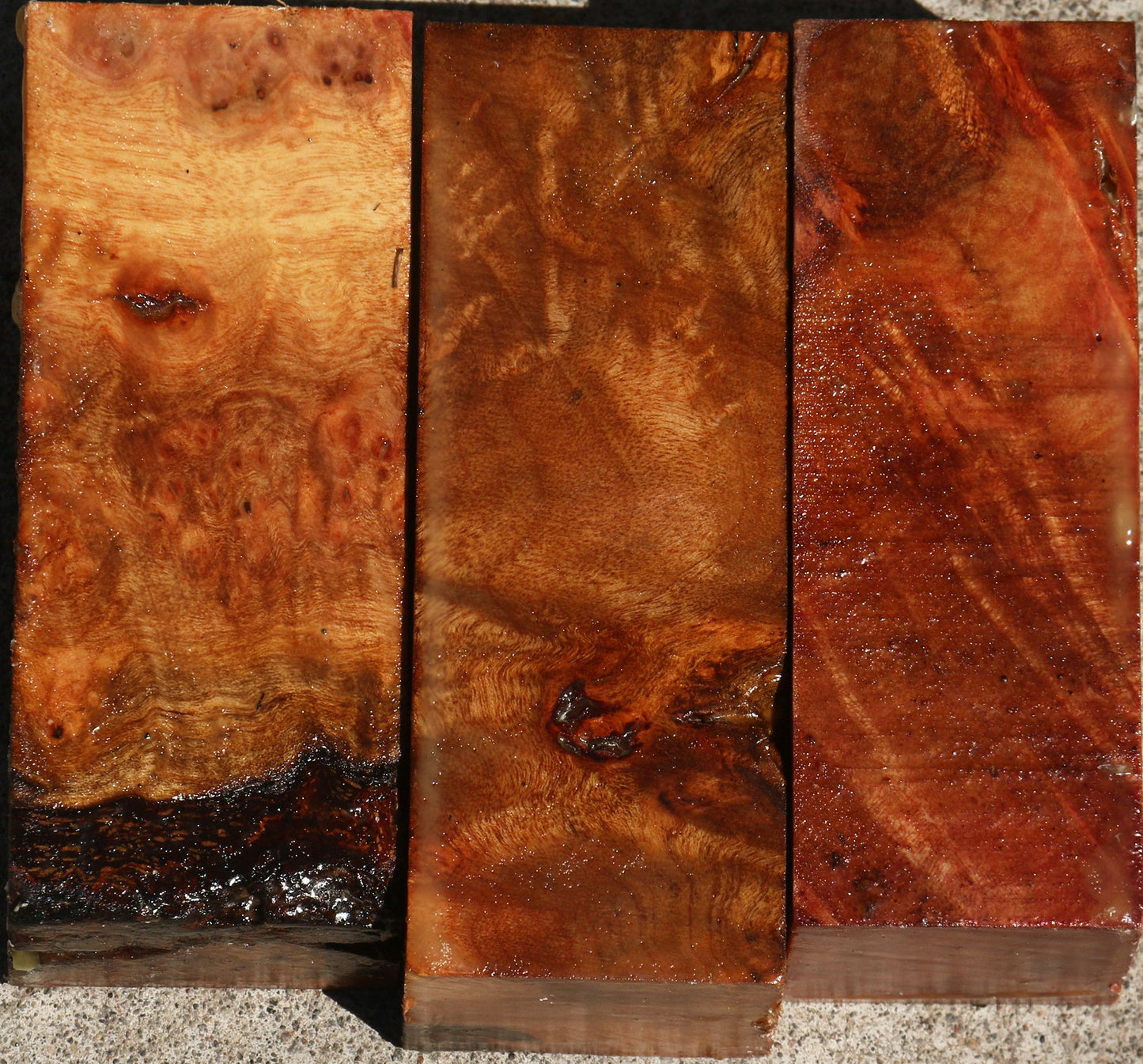 Camphor Burl Turning Square Bargain Box