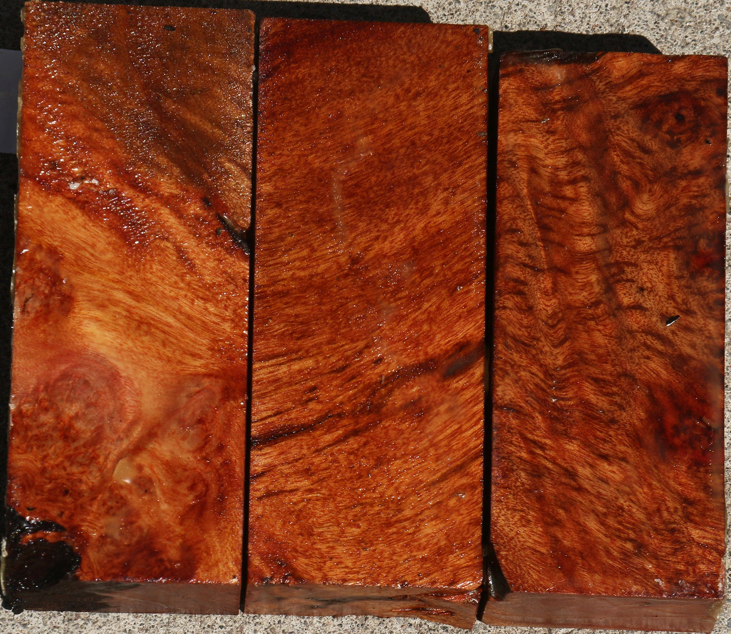 Camphor Burl Turning Blank Bargain Box
