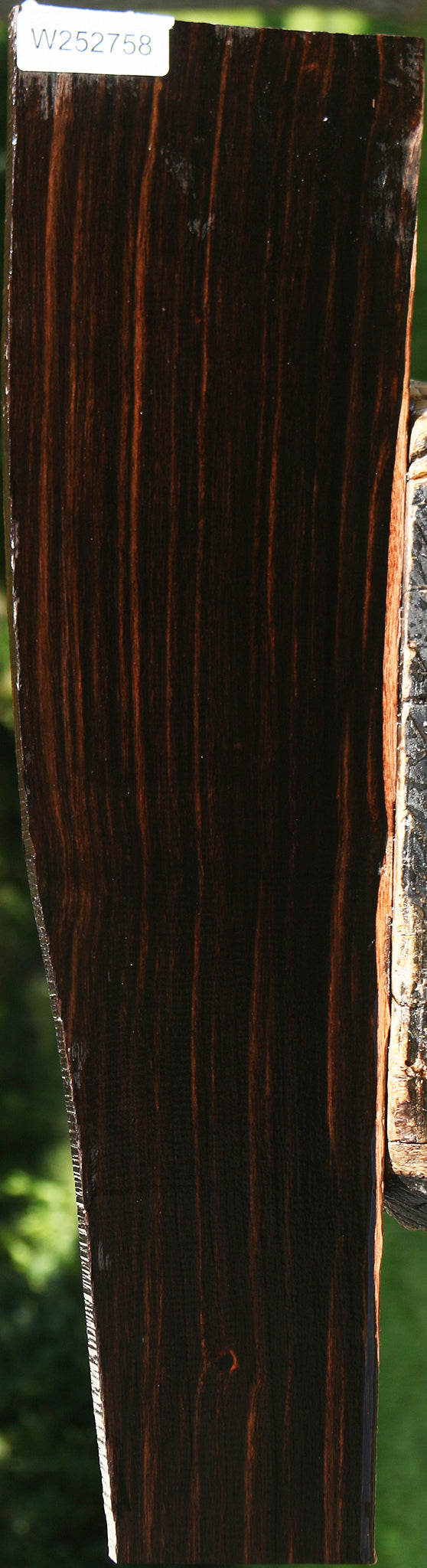 Quartersawn Amara Ebony Instrument Live Edge Lumber