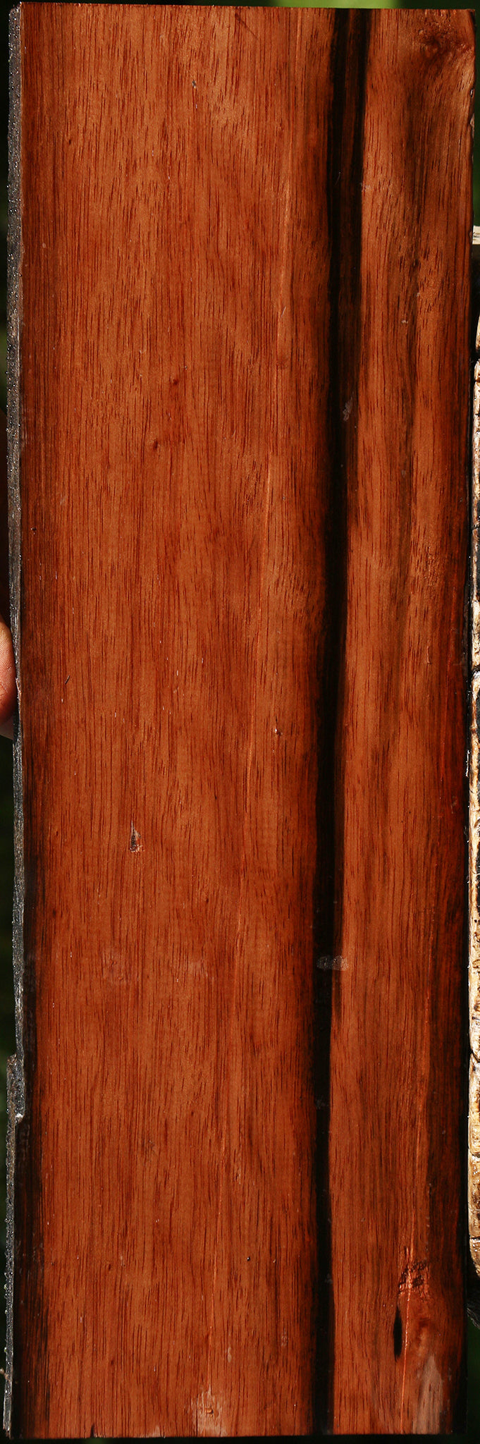 Amara Ebony Live Edge Lumber