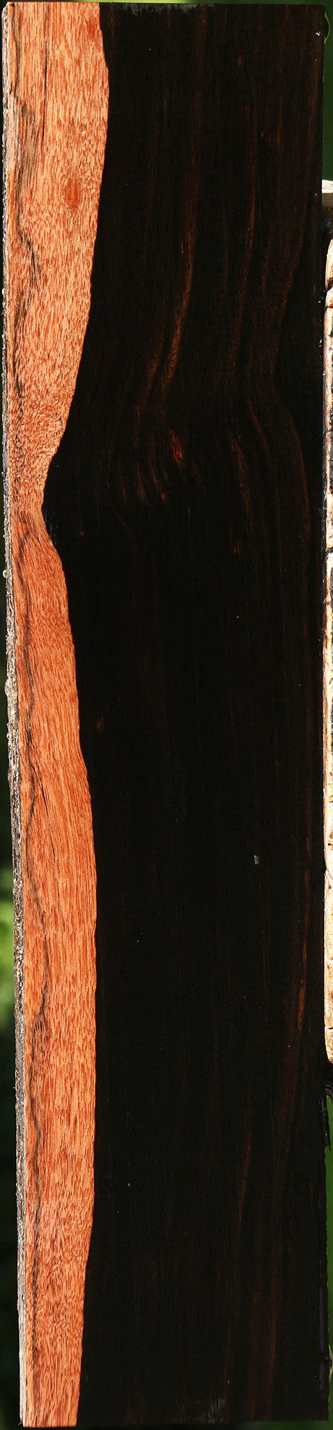 Amara Ebony Live Edge Lumber