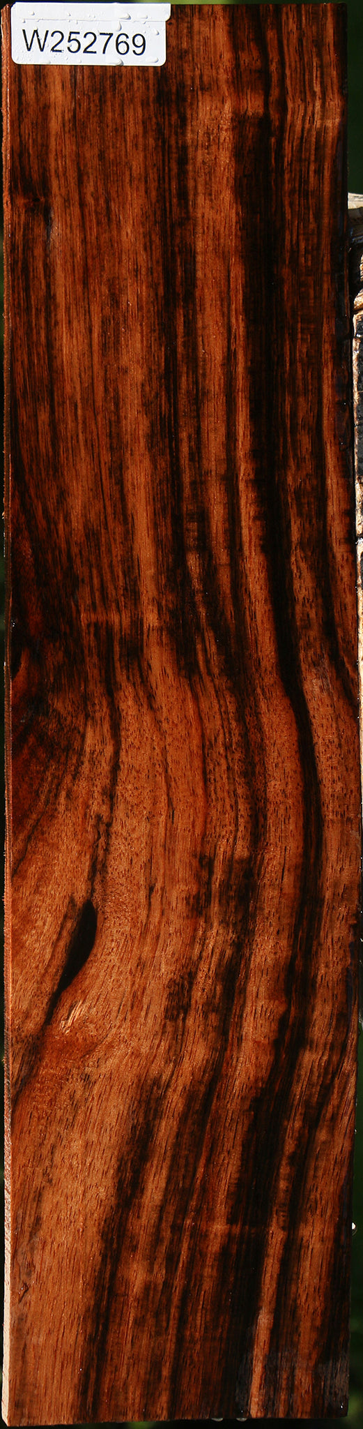 Extra Fancy Amara Ebony Live Edge Lumber