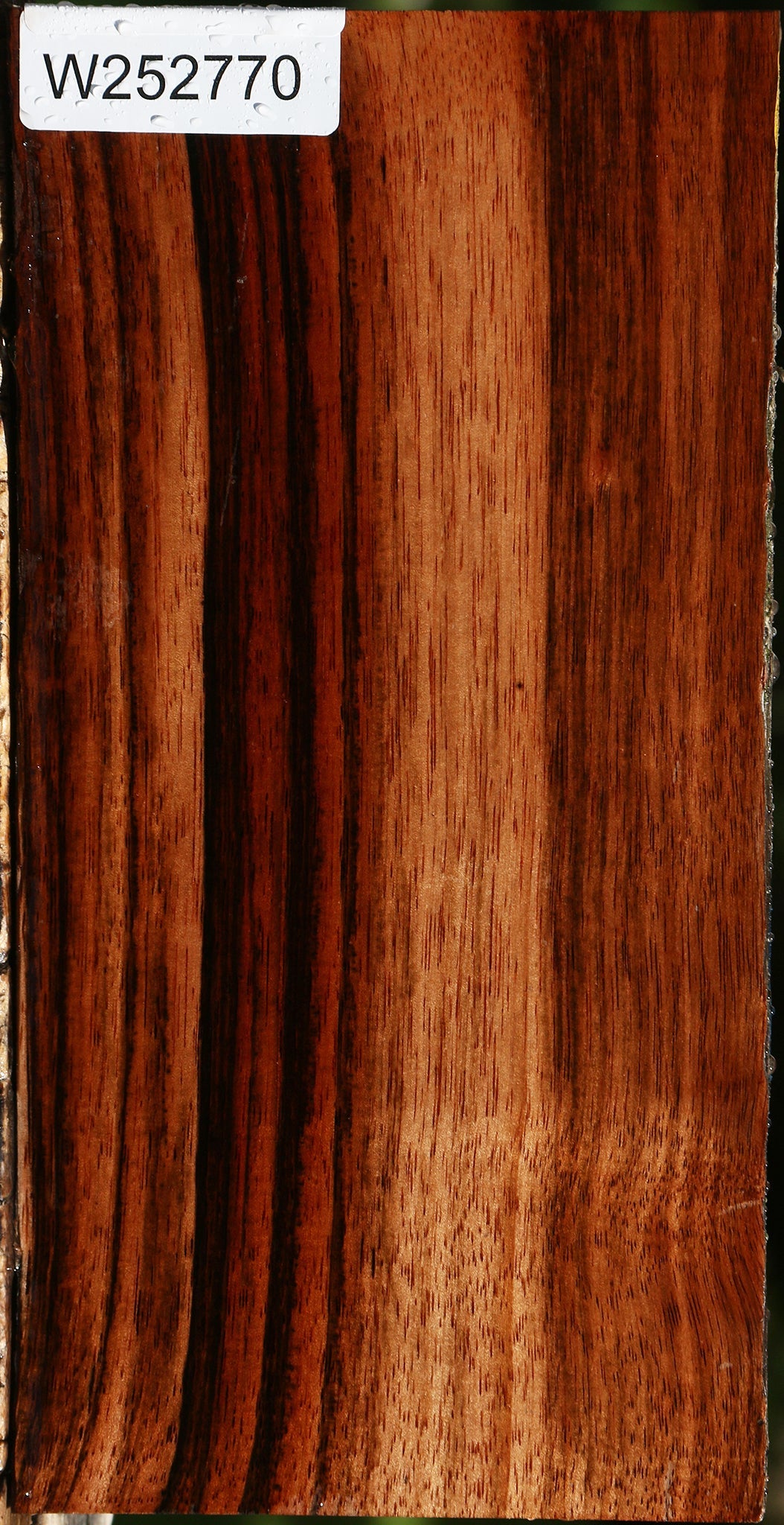 Amara Ebony Live Edge Lumber
