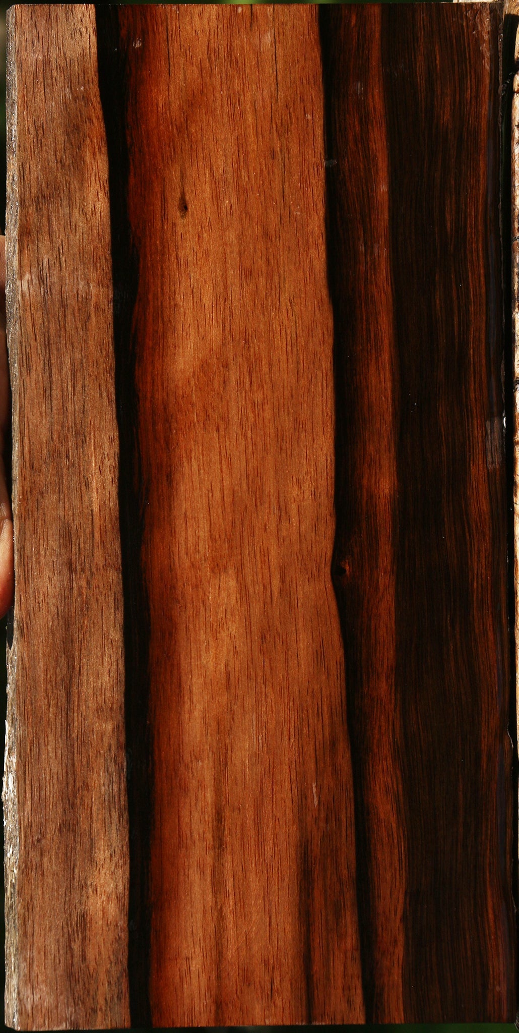 Amara Ebony Live Edge Lumber