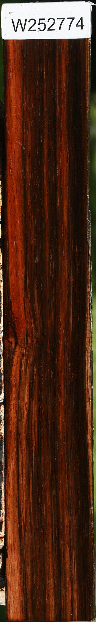 Amara Ebony Live Edge Lumber