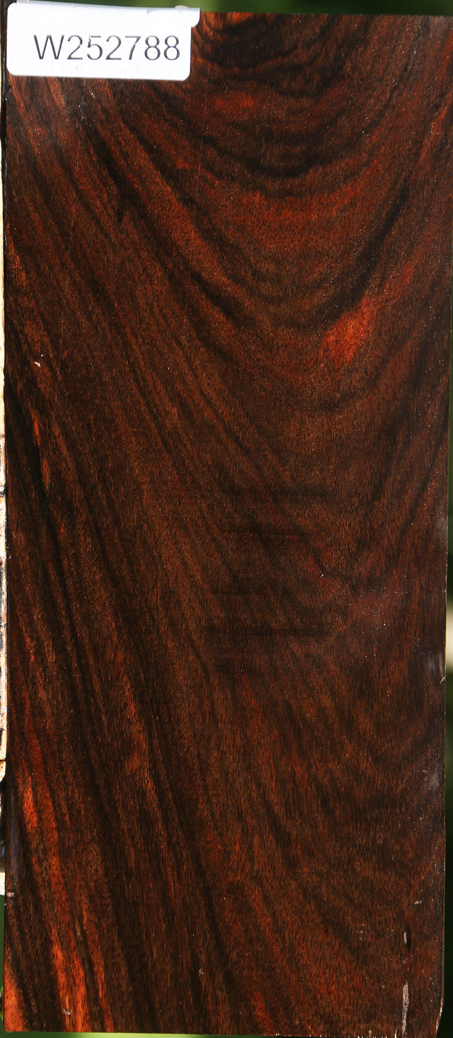 Extra Fancy Amara Ebony Lumber