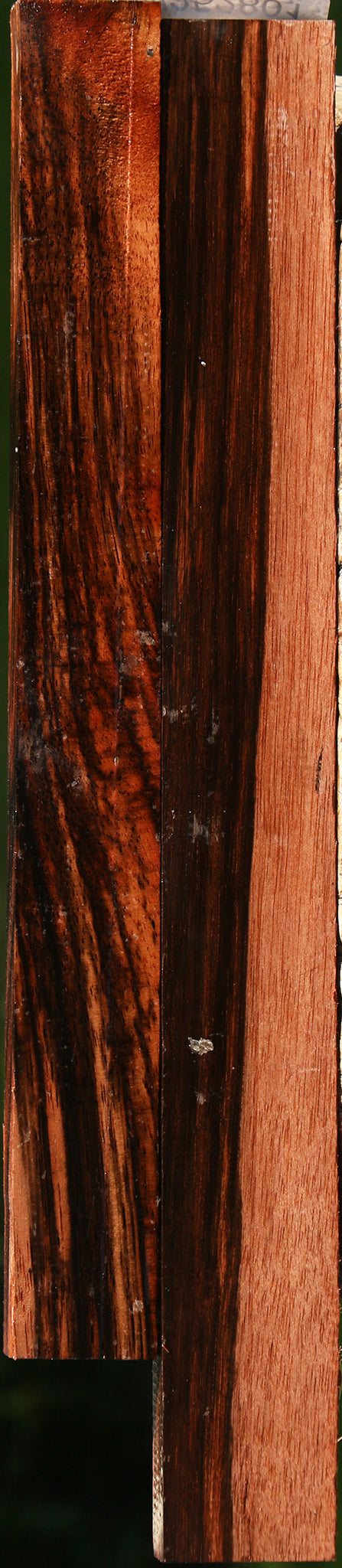 Amara Ebony Lumber 2 Pack
