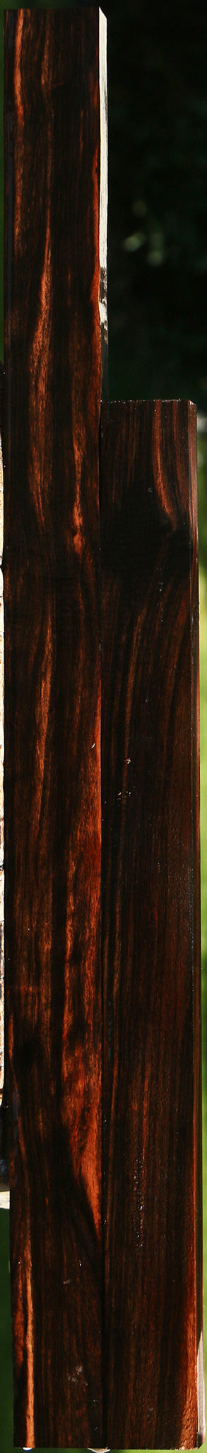 Amara Ebony Lumber 2 Pack
