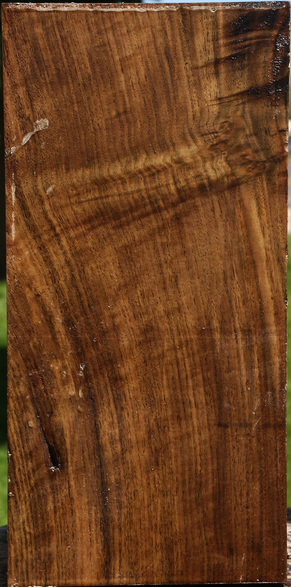 Extra Fancy Claro Walnut Vessel Blank