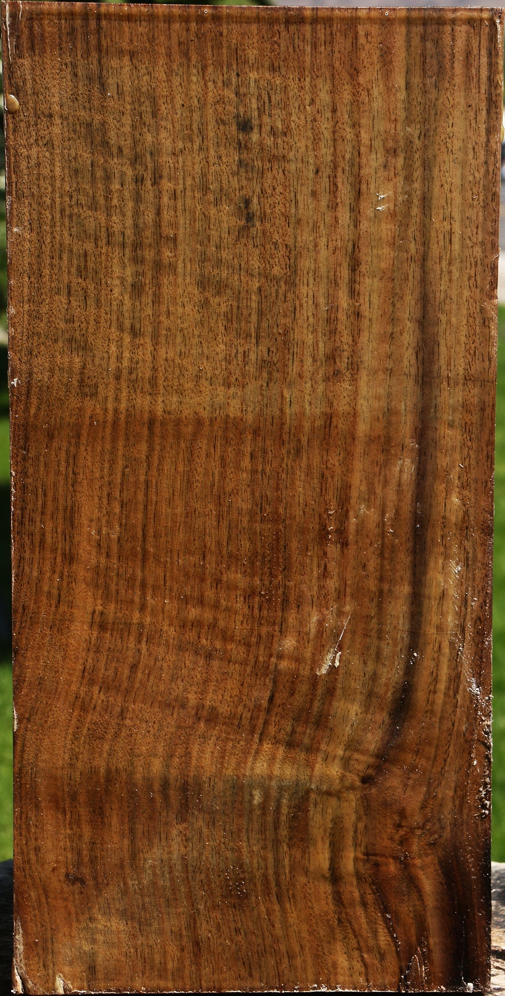 Figured Claro Walnut Vessel Blank