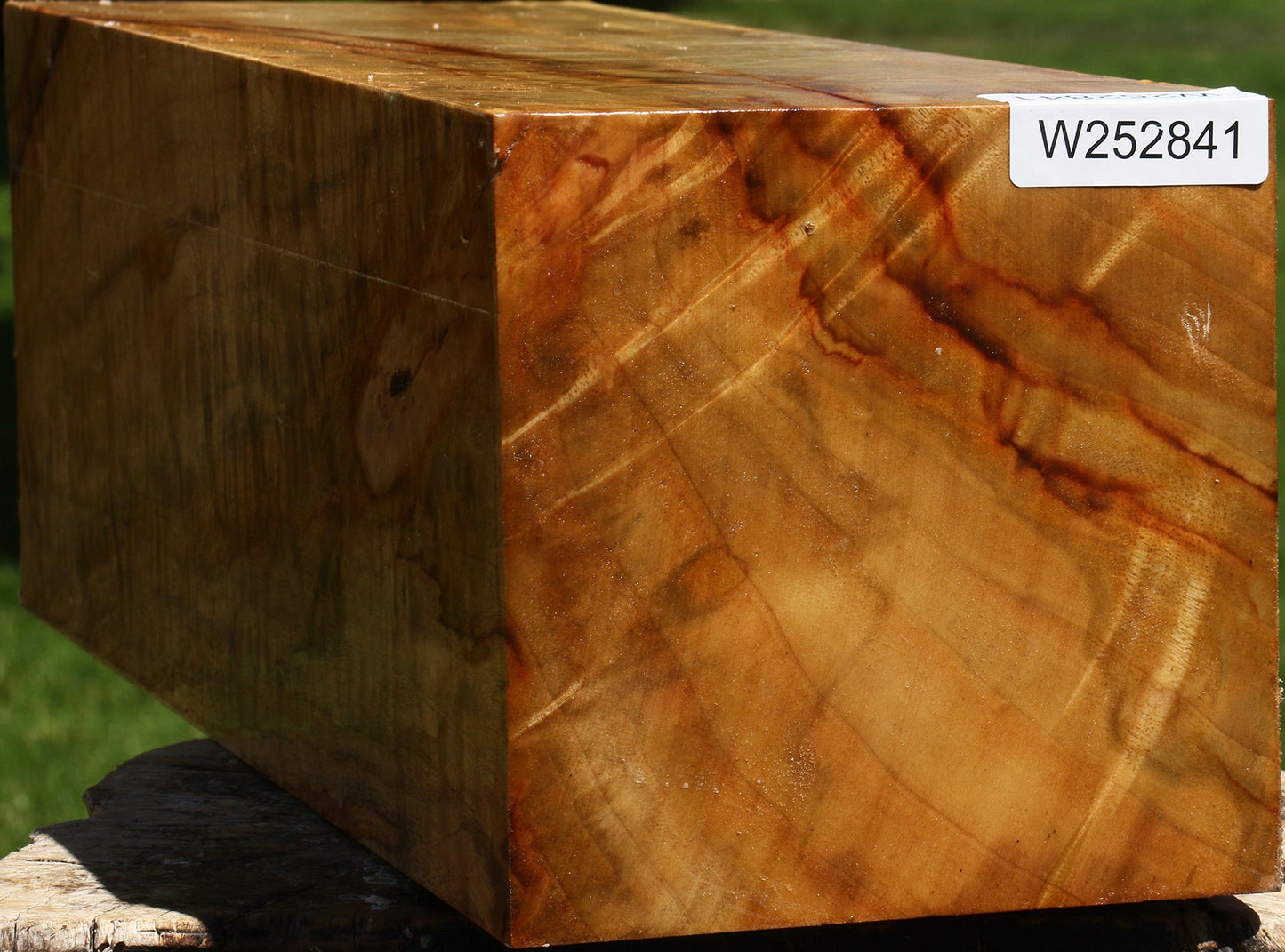 Extra Fancy Camphor Vessel Blank