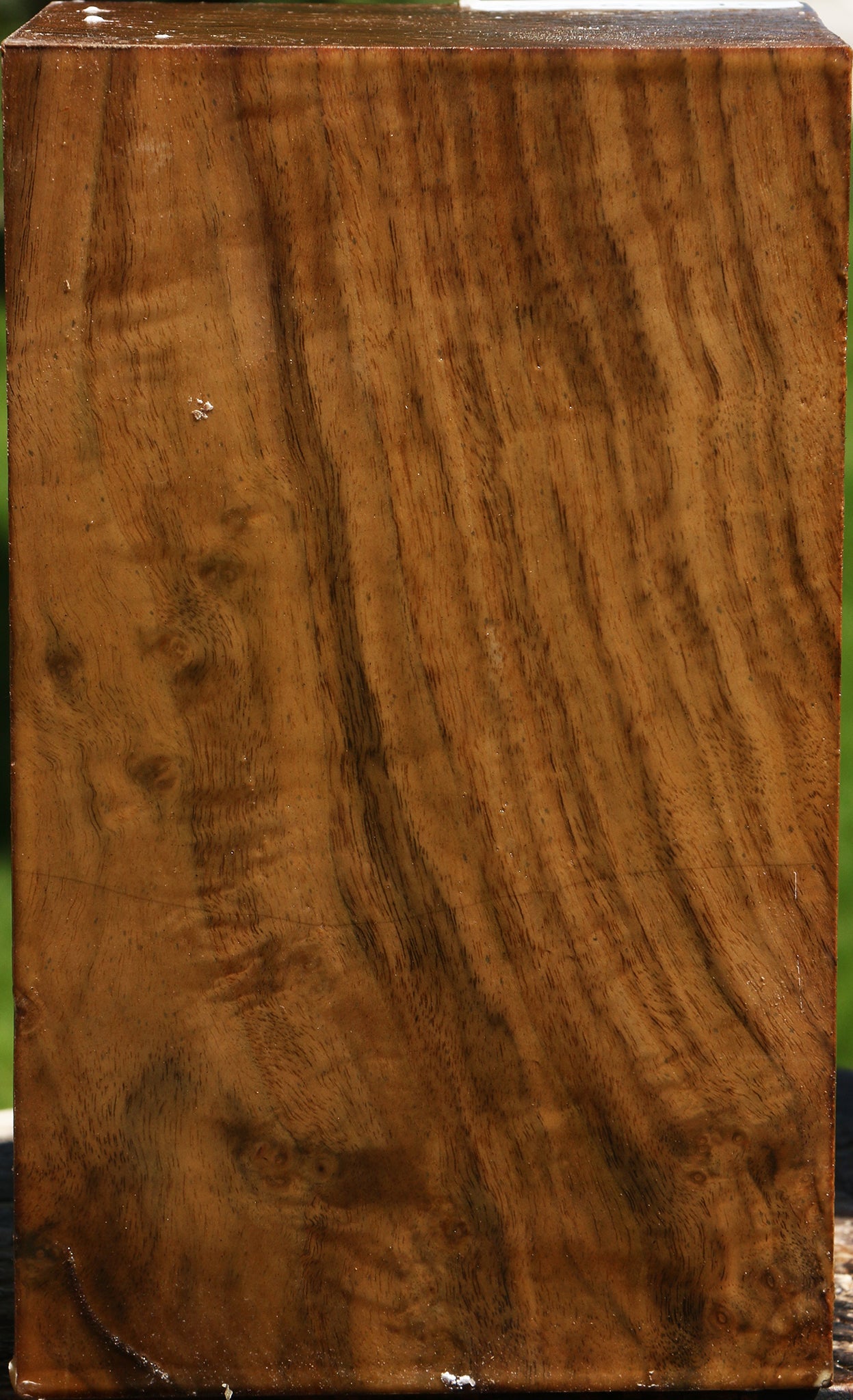 Figured Claro Walnut Vessel Blank