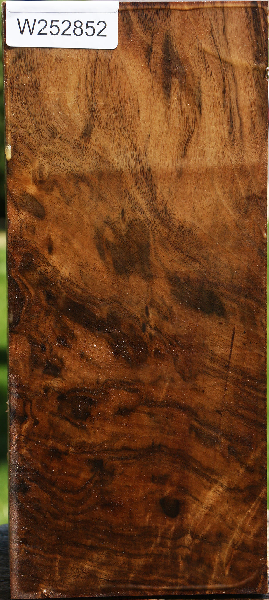 Figured Claro Walnut Vessel Blank