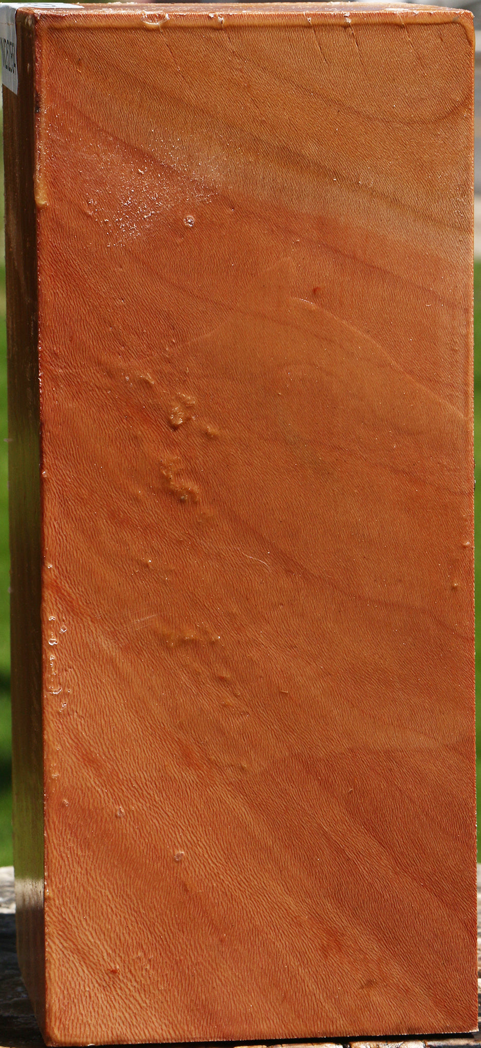 Sycamore Vessel Blank