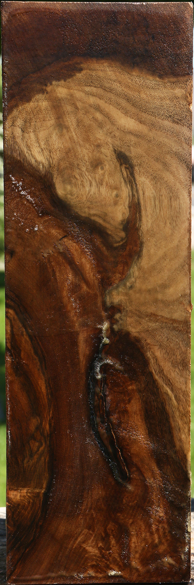 Grafted Claro Walnut Vessel Blank