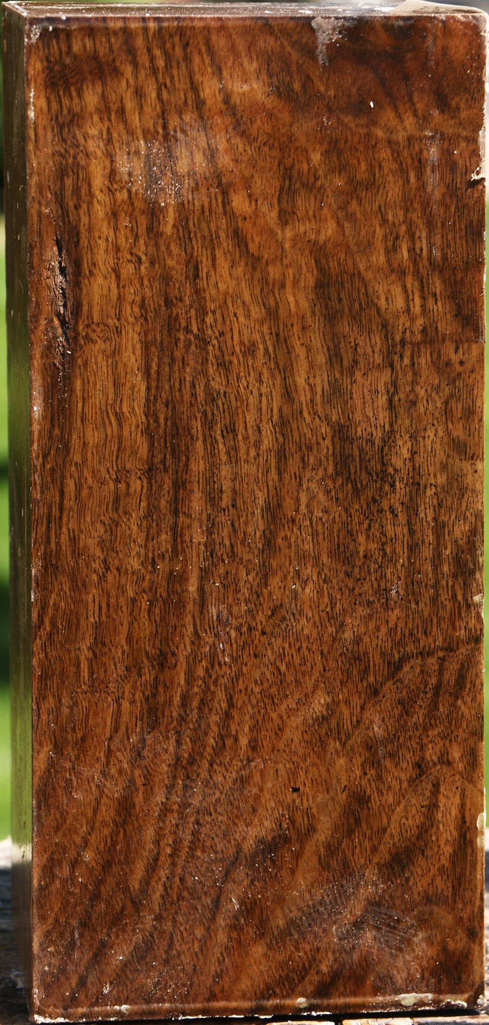 Figured Claro Walnut Vessel Blank