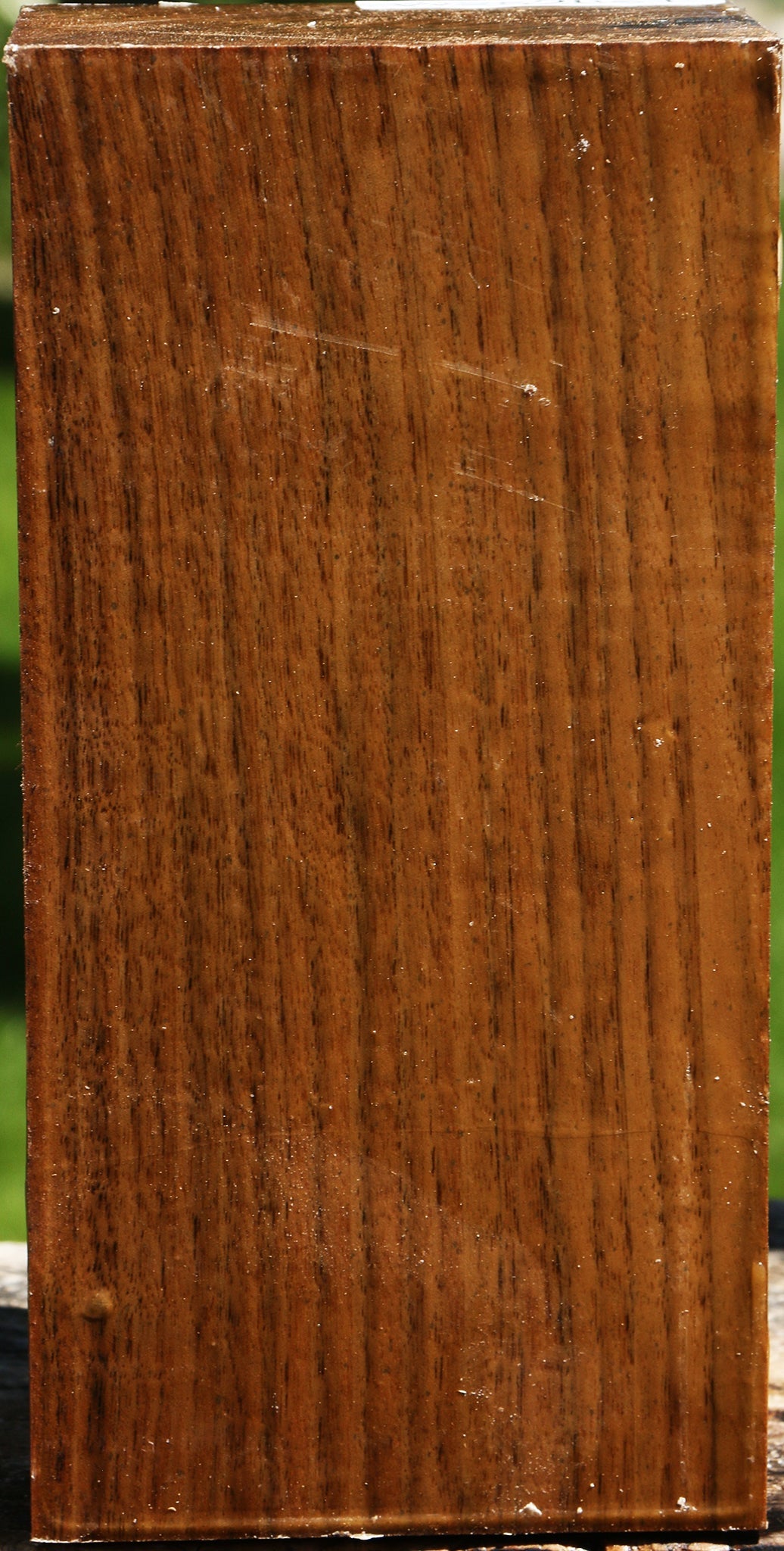 Claro Walnut Vessel Blank