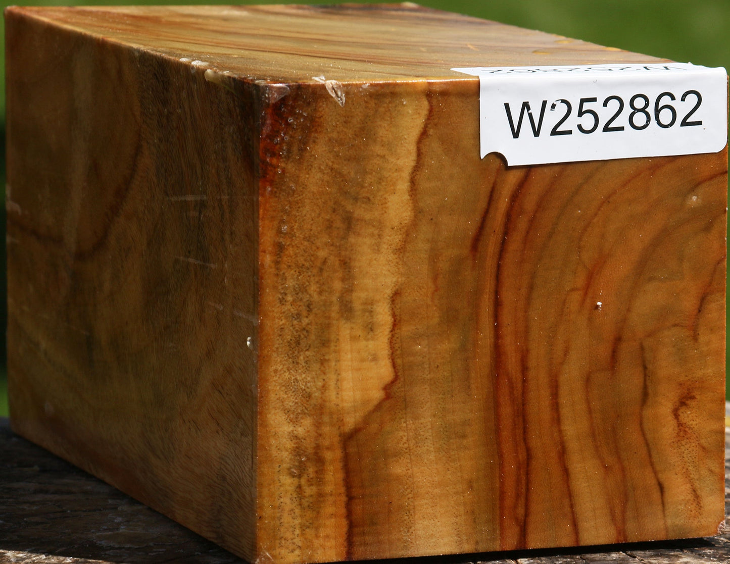Figured Camphor Vessel Blank