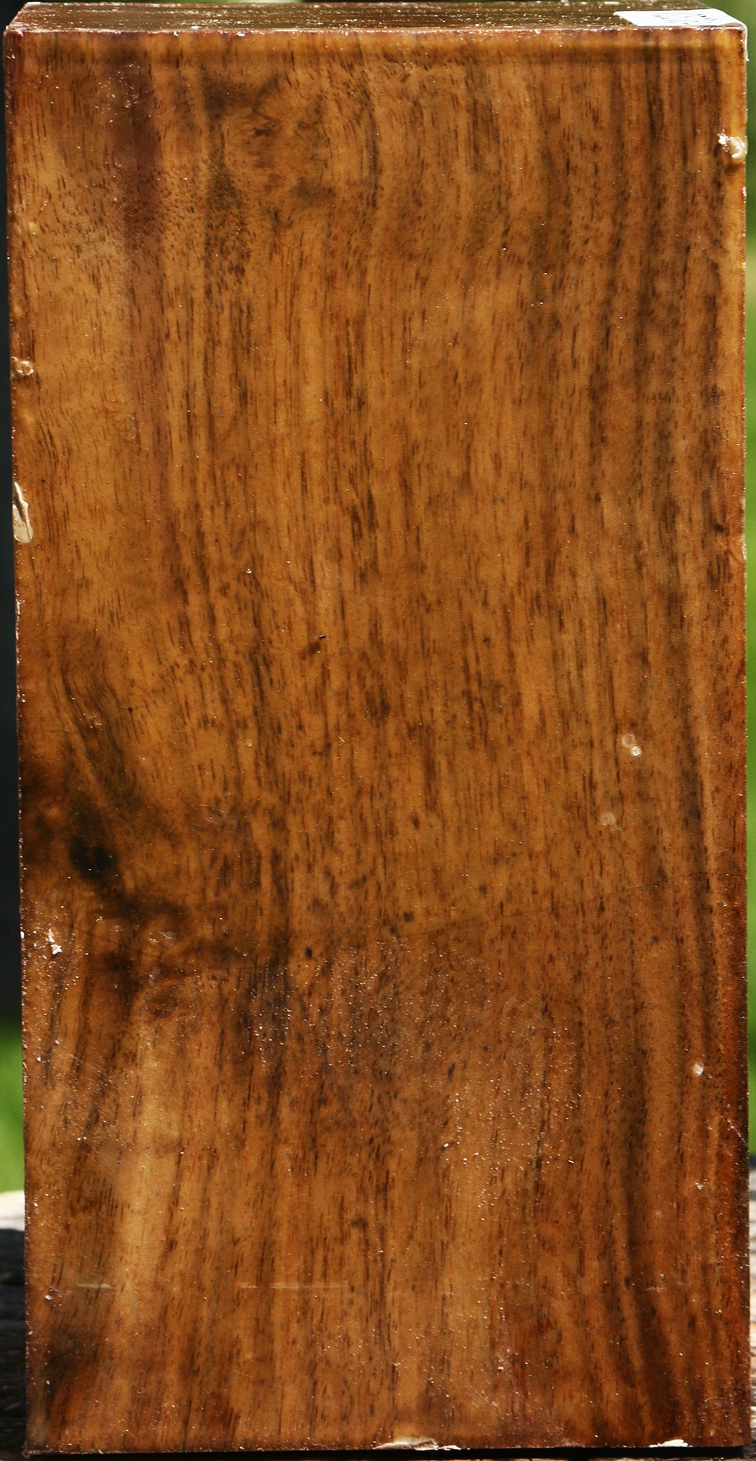Claro Walnut Vessel Blank