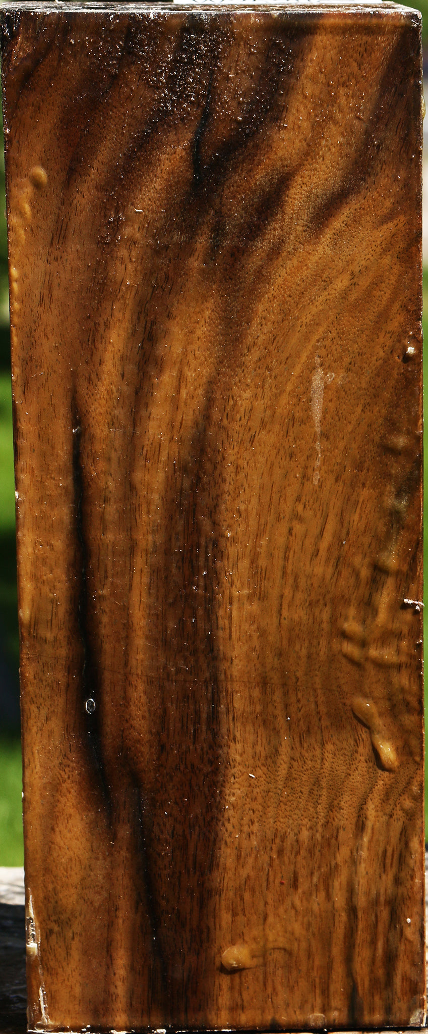 Figured Claro Walnut Vessel Blank