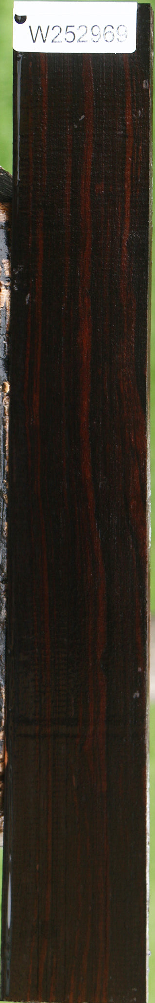 Ceylon Ebony Lumber