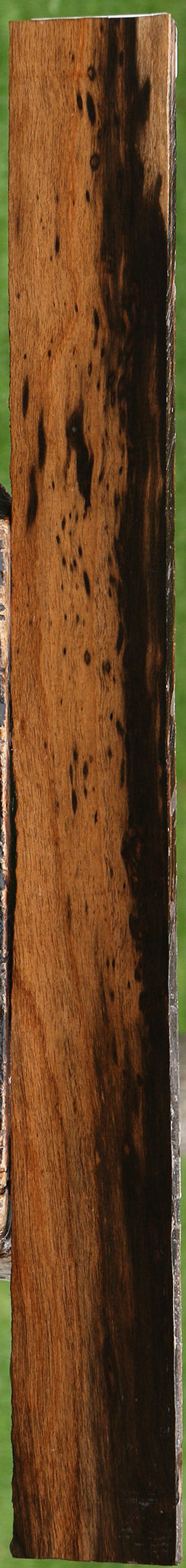 Ceylon Ebony Lumber