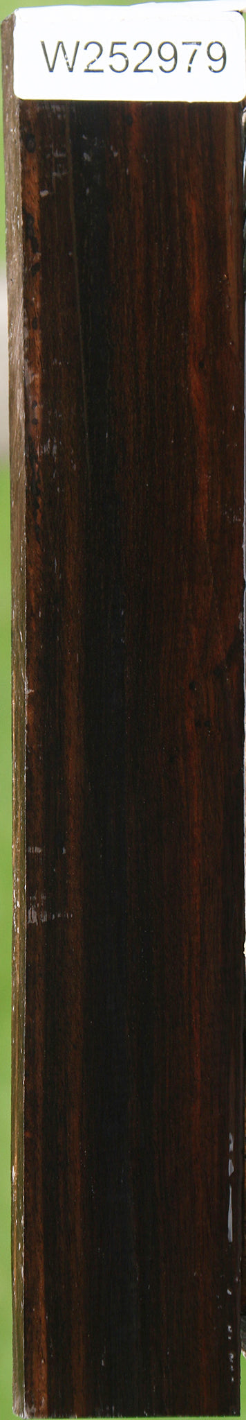 Ceylon Ebony Lumber
