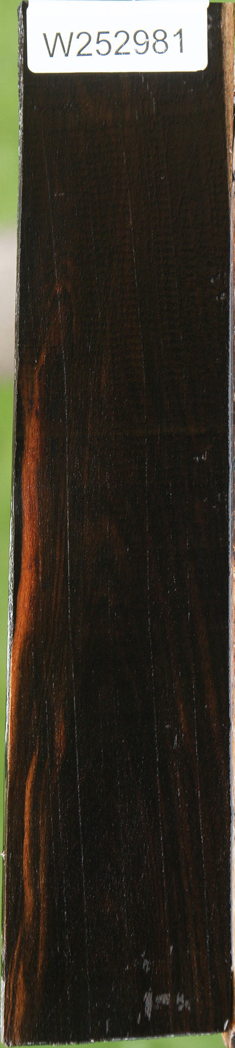 Ceylon Ebony Lumber