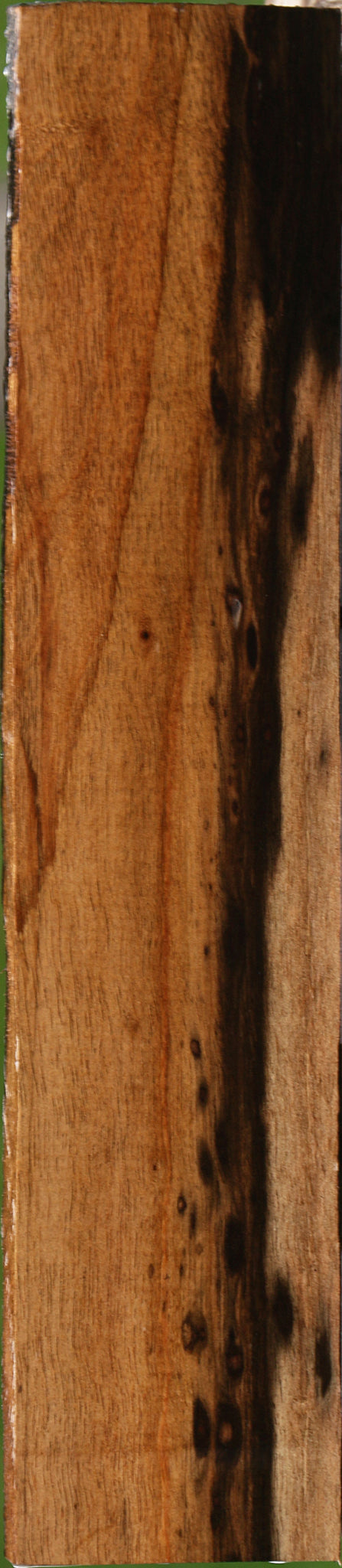 Ceylon Ebony Lumber