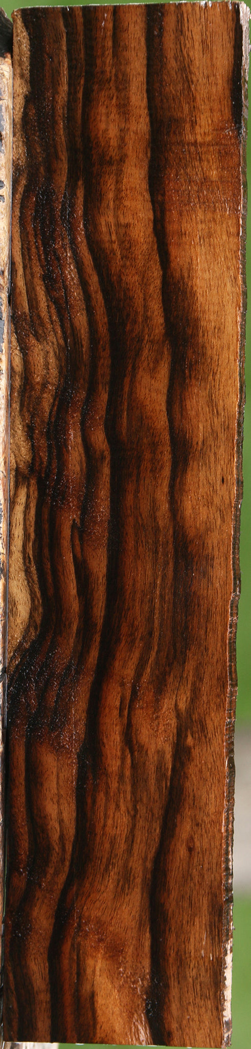 Extra Fancy Ceylon Ebony Lumber