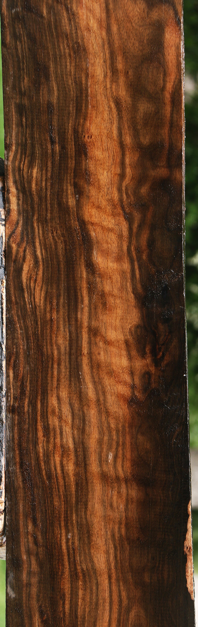 Extra Fancy Ceylon Ebony Lumber
