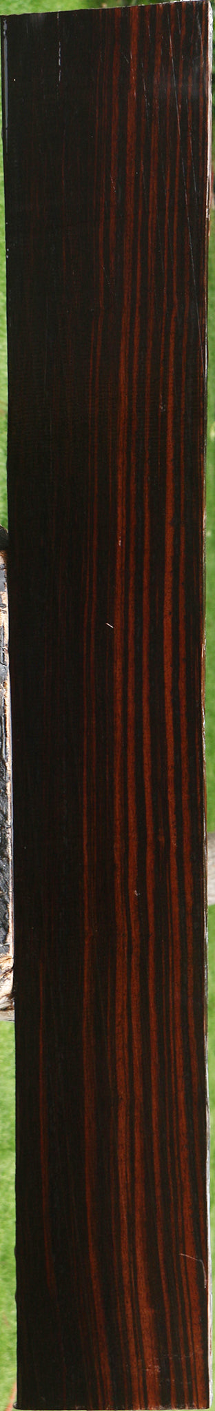 Figured Ceylon Ebony Instrument Lumber