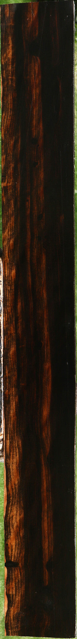 Extra Fancy Ceylon Ebony Lumber