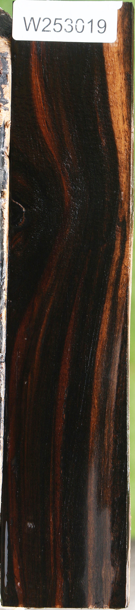 Figured Ceylon Ebony Lumber