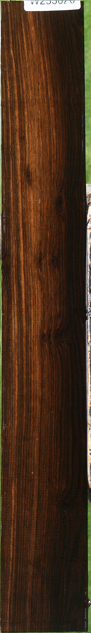Ceylon Ebony Micro Lumber