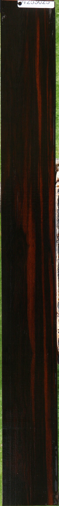 Ceylon Ebony Micro Lumber