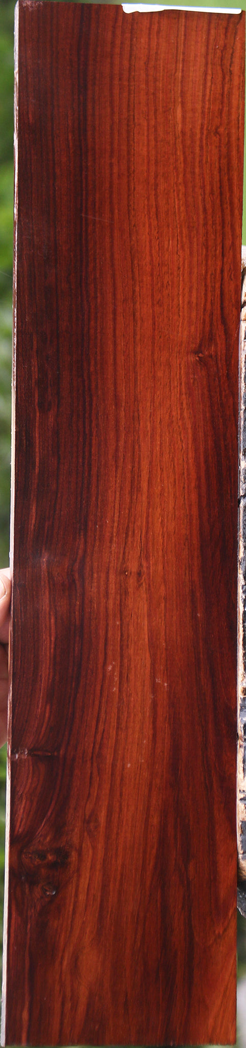 Honduras Rosewood Micro Lumber