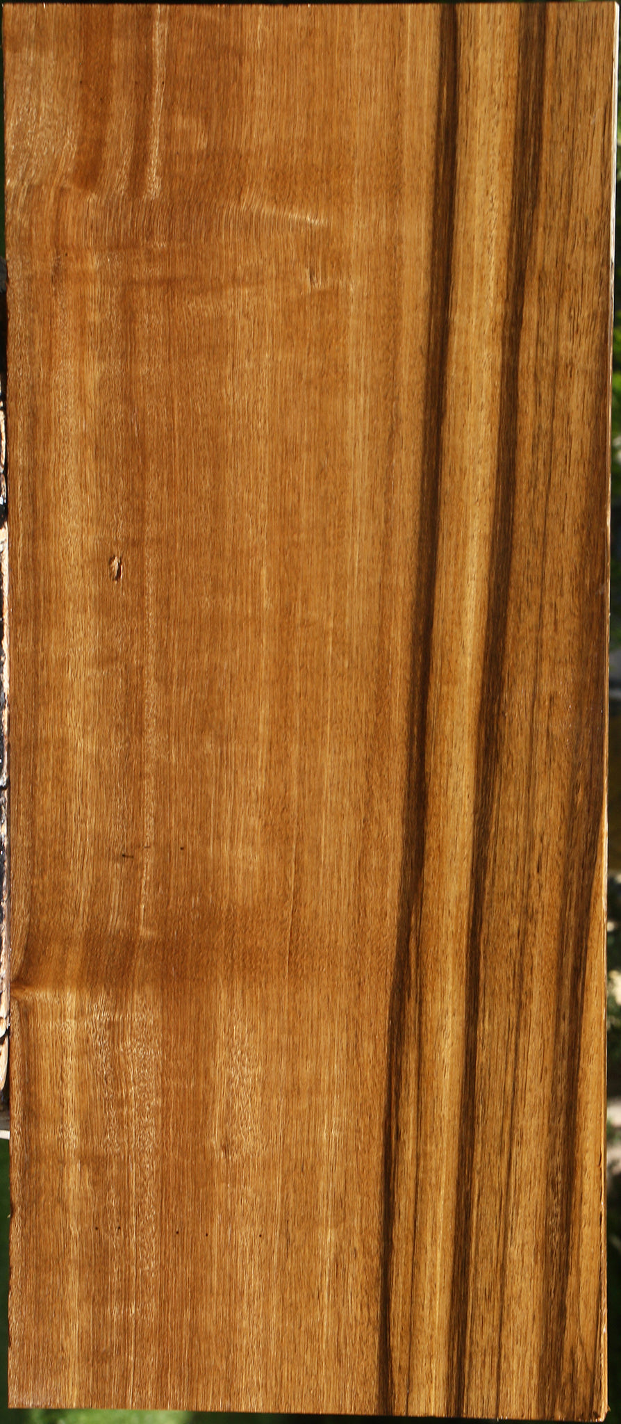 Quartersawn Branquilho Lumber
