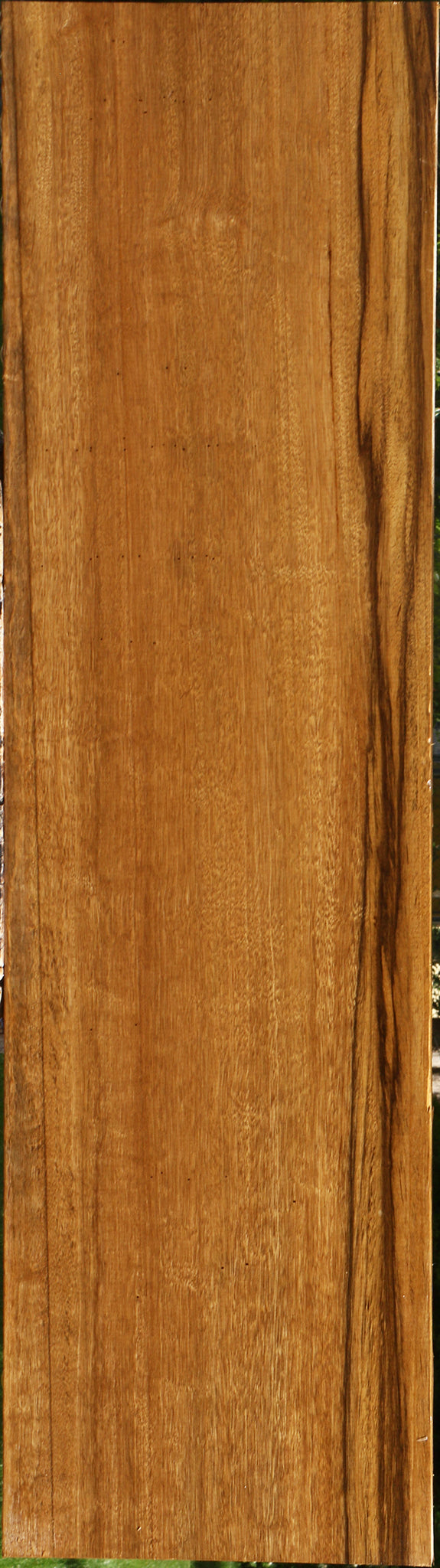 Branquilho Lumber