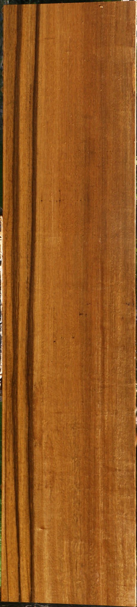 Branquilho Lumber