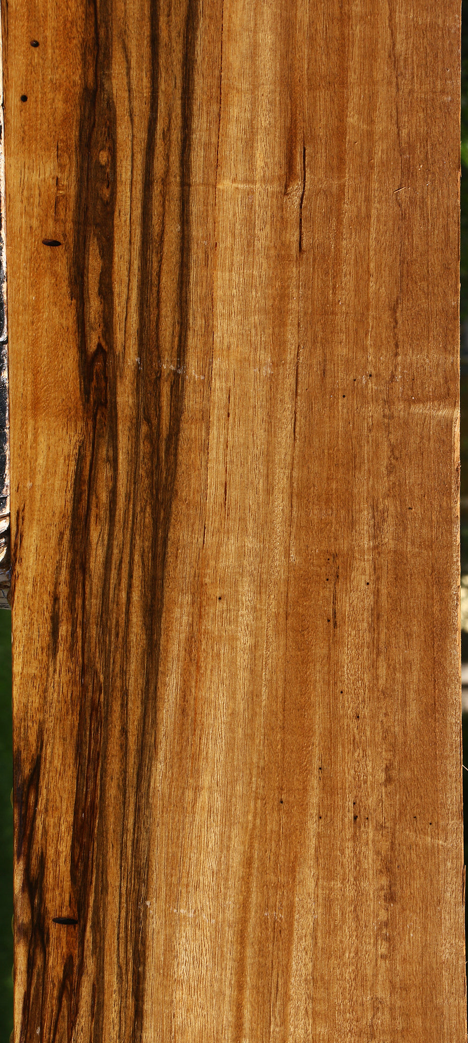 Branquilho Lumber