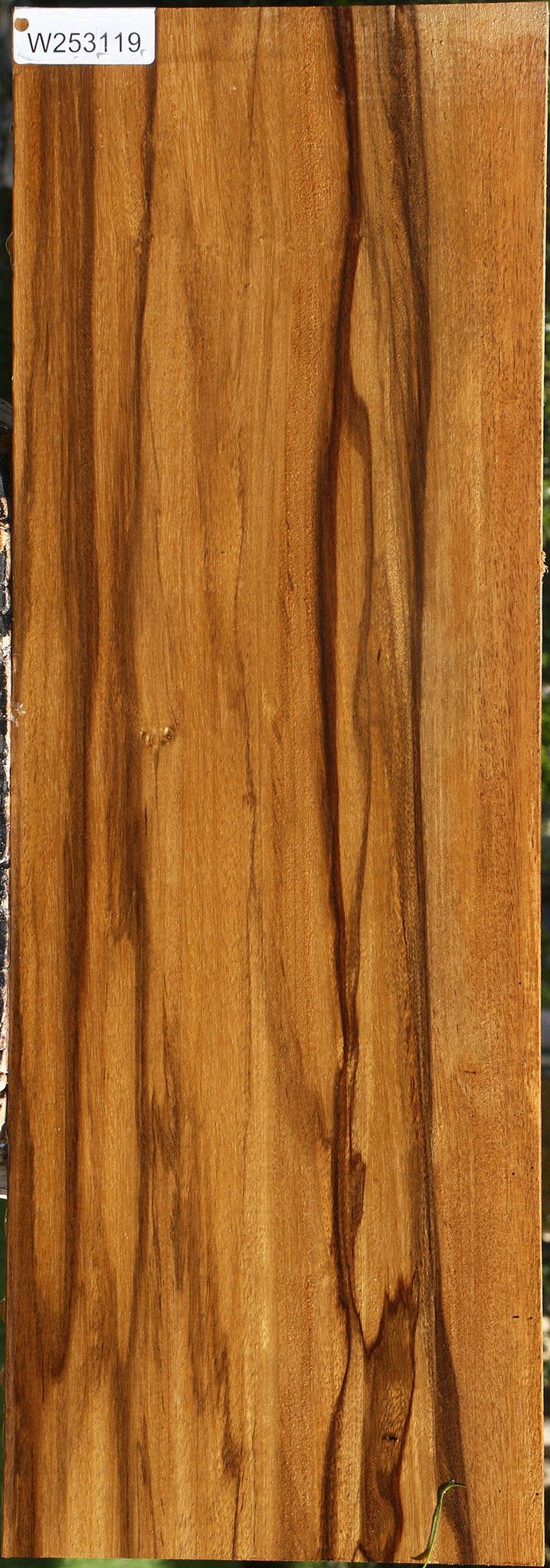 Branquilho Lumber