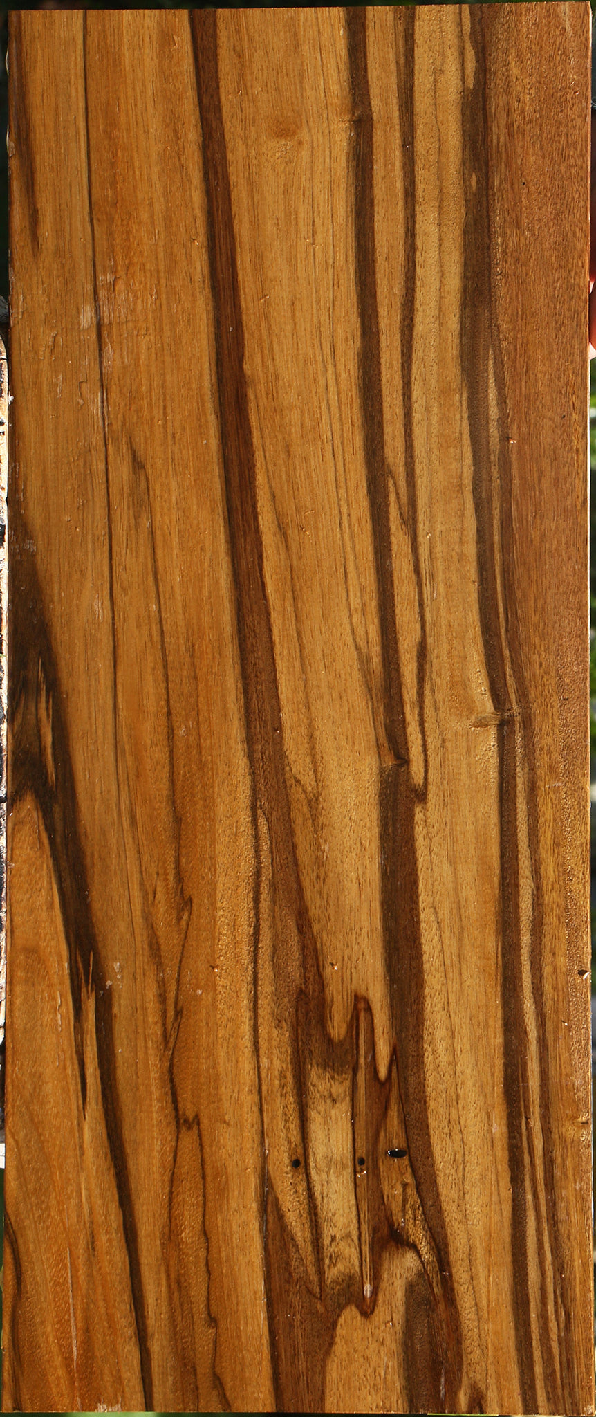 Branquilho Lumber
