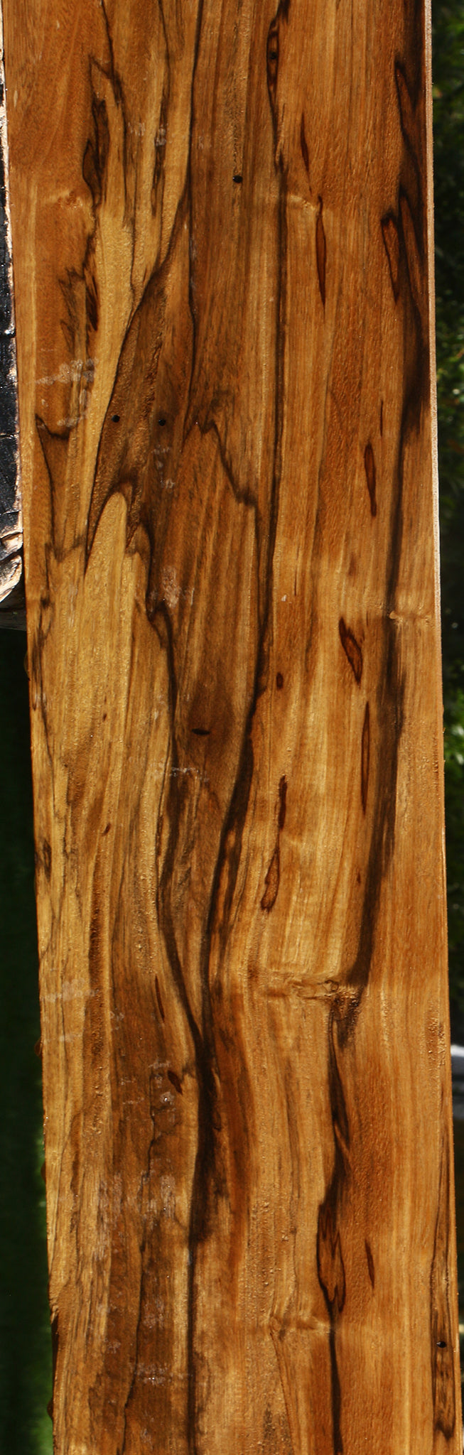 Extra Fancy Branquilho Lumber
