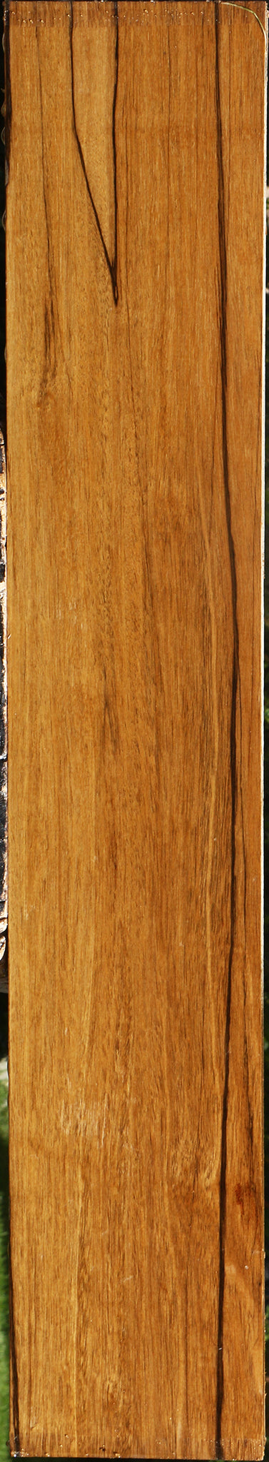 Branquilho Lumber