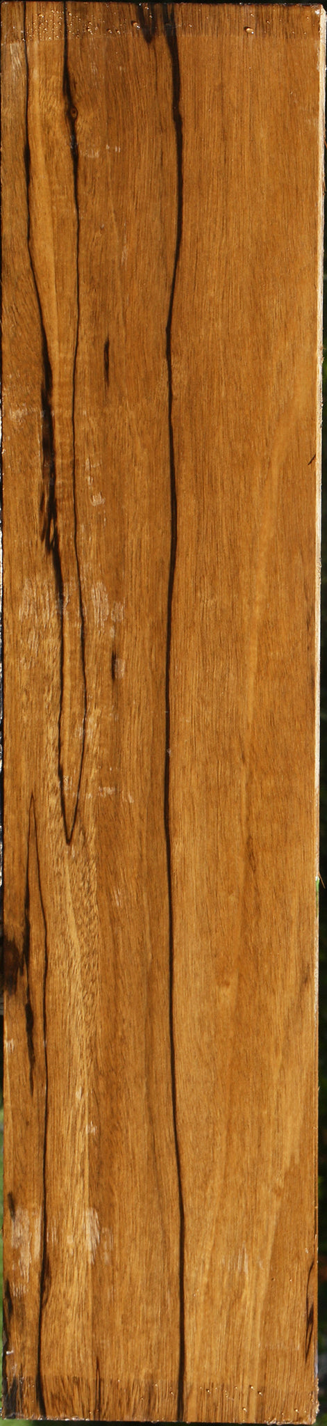 Branquilho Lumber
