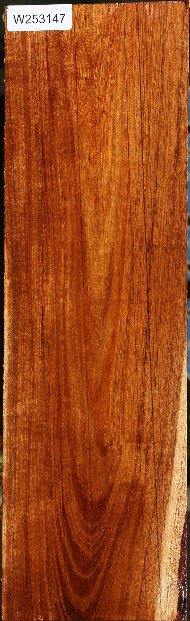 Figured Tzalam Lumber