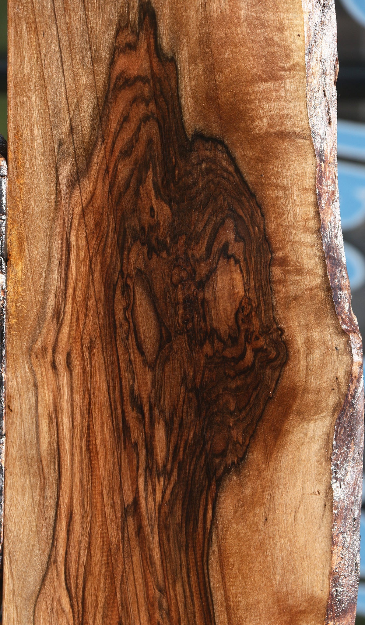 Extra Fancy English Walnut Live Edge Lumber