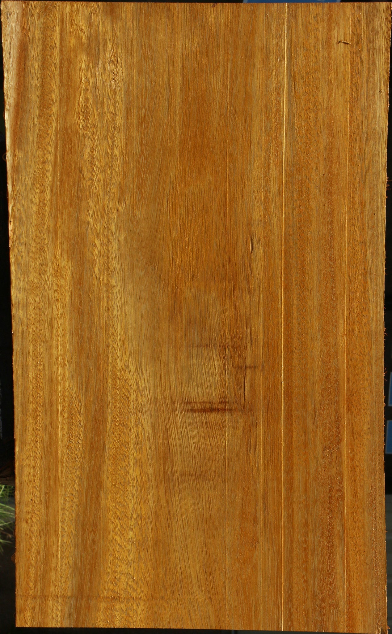 African Teak Mini Slab